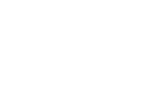 logo-bi