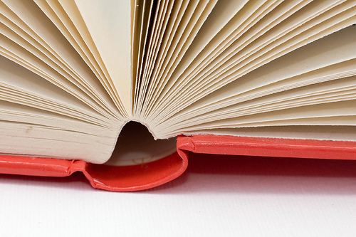 How To Write a Traditionally Published Book – A Behind the Scenes Look