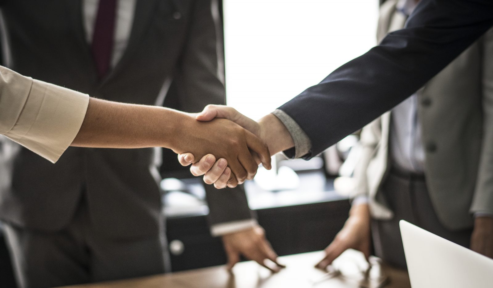 How to Find your First Mentor