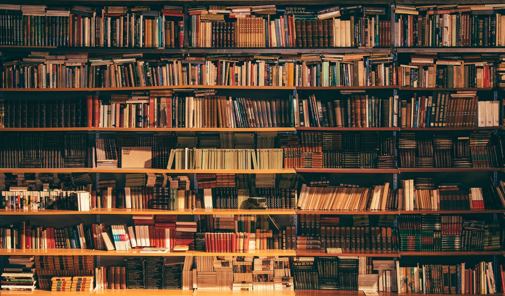 How to Take  Notes  While Reading a Book