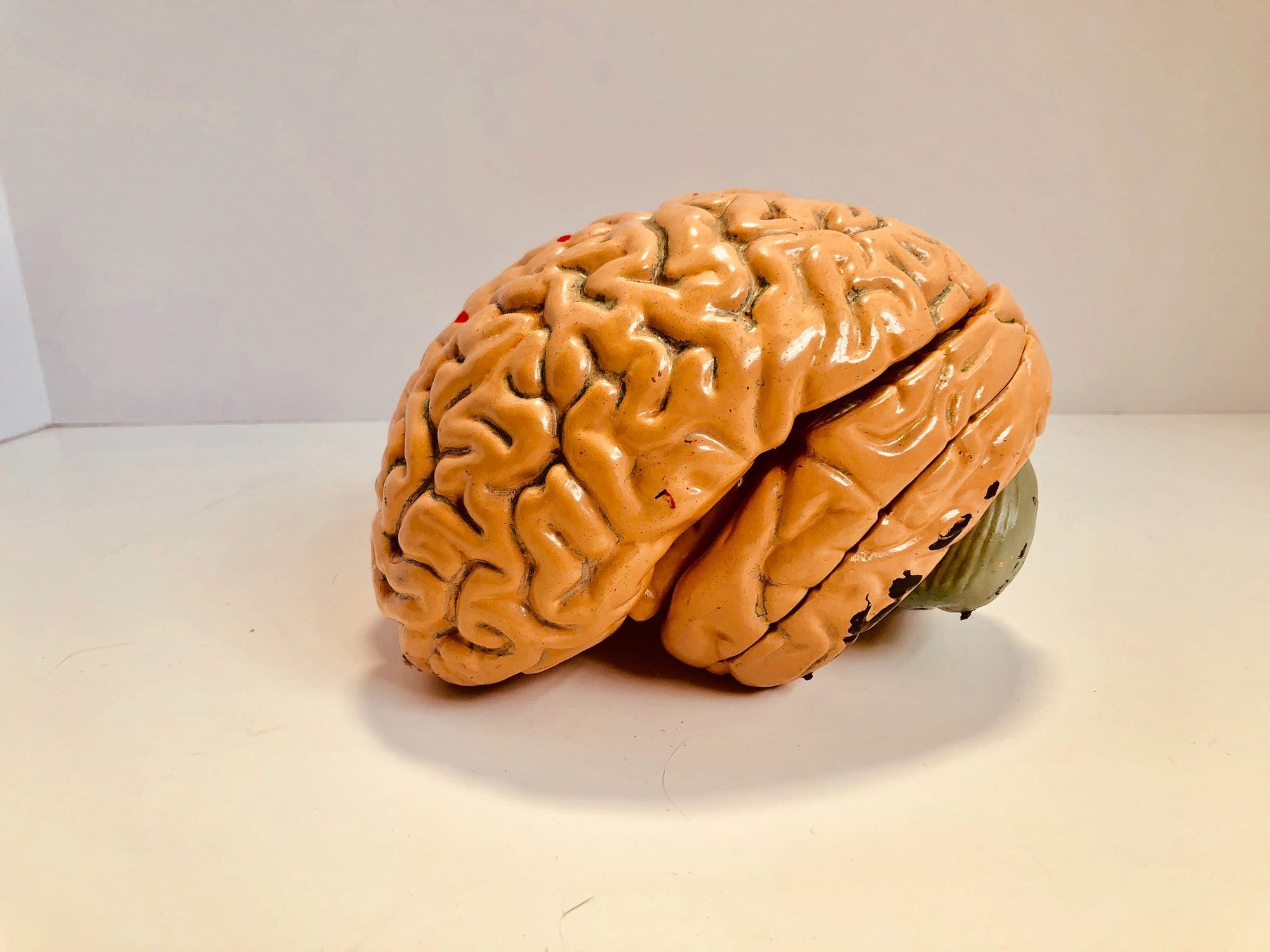 The Psychology of Building An Audience