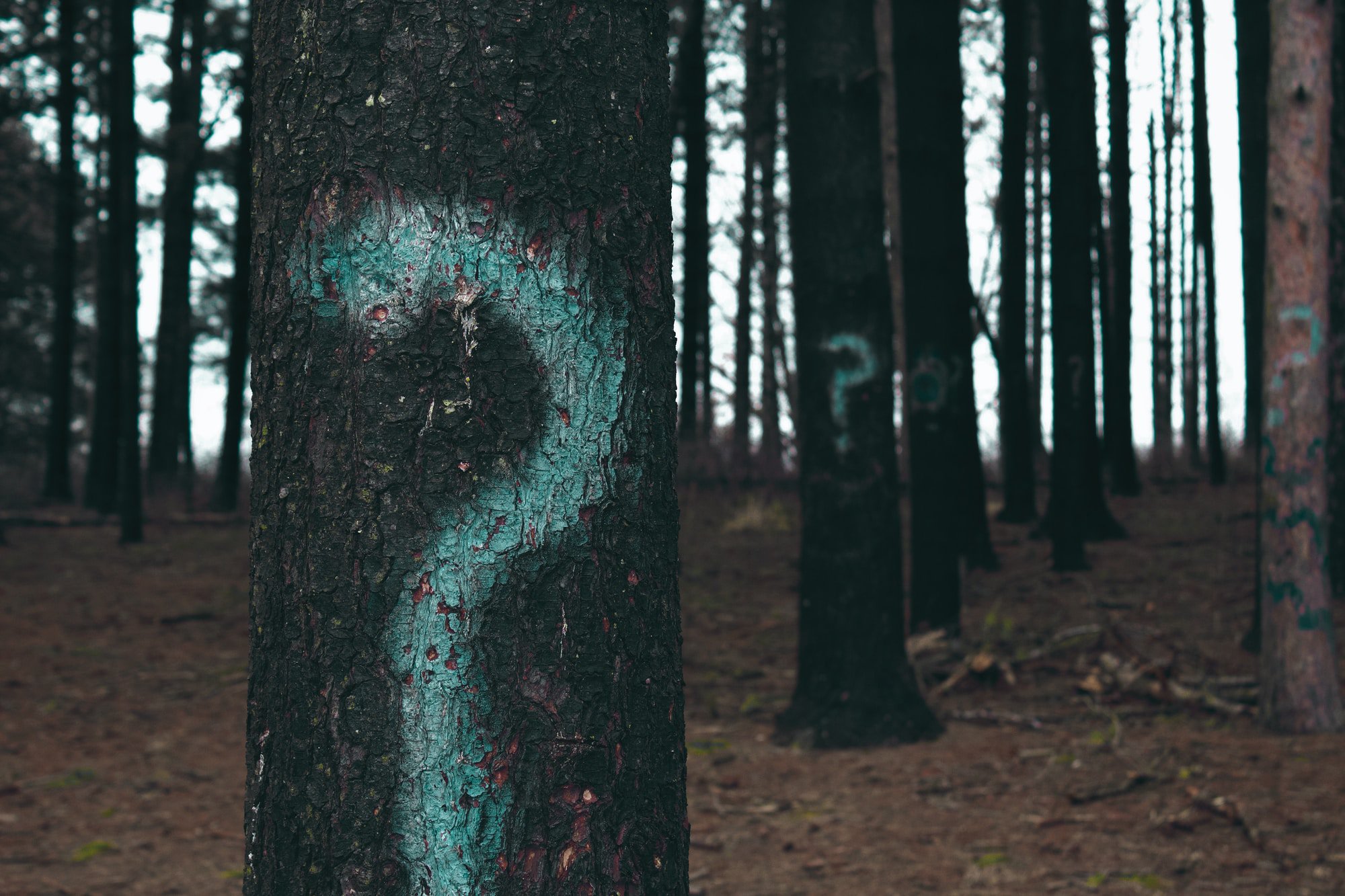 The Science of Detecting Bullshit