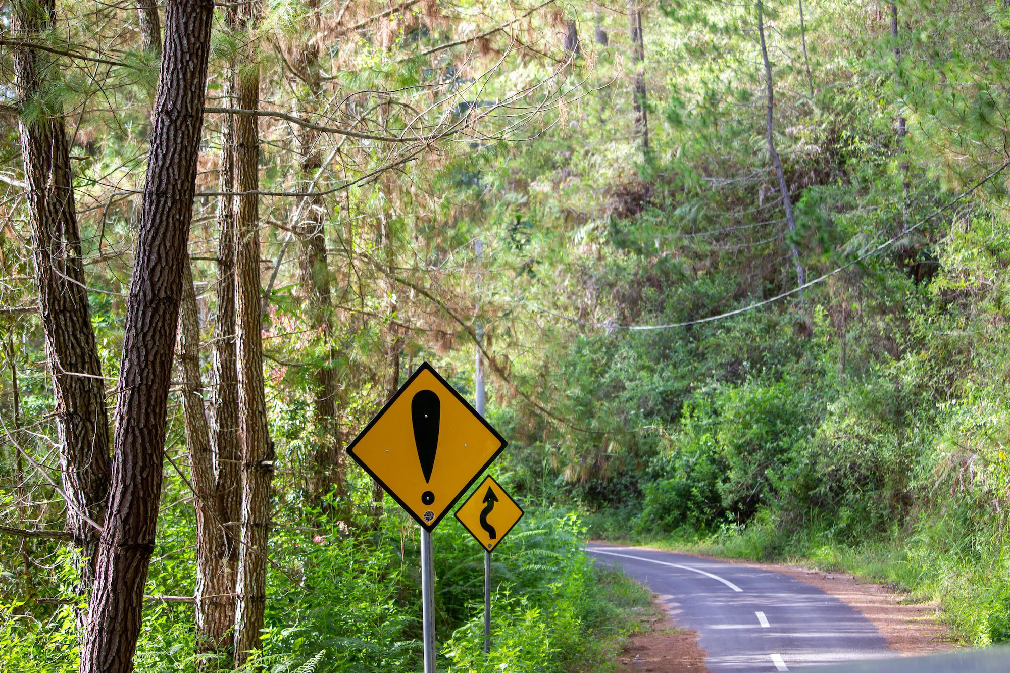 ADHD: The Long Term Consequences of Being Undiagnosed