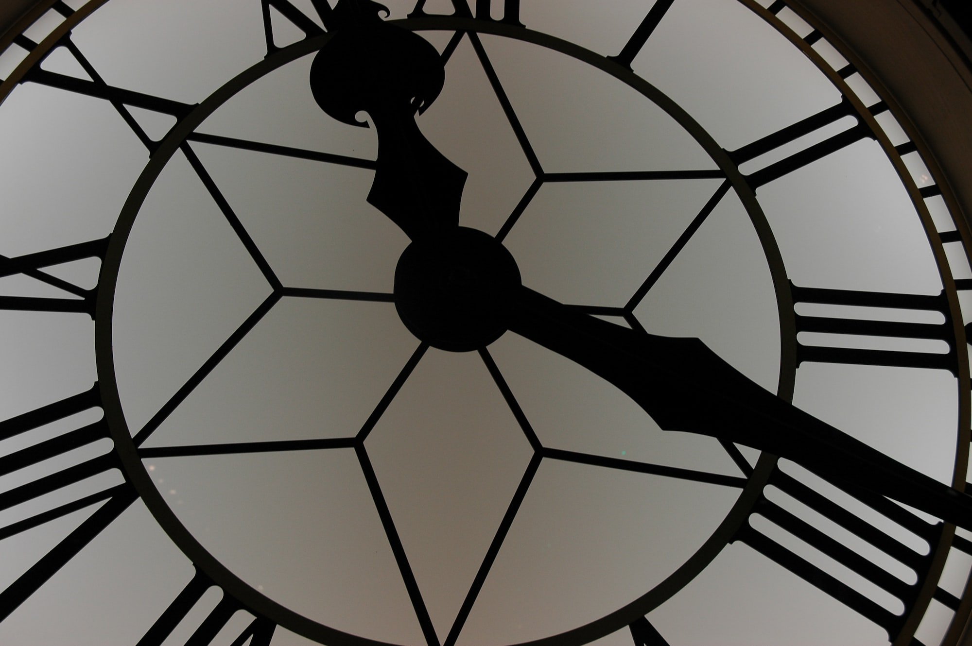 Use The Science of Timing to Increase Your Productivity and Happiness